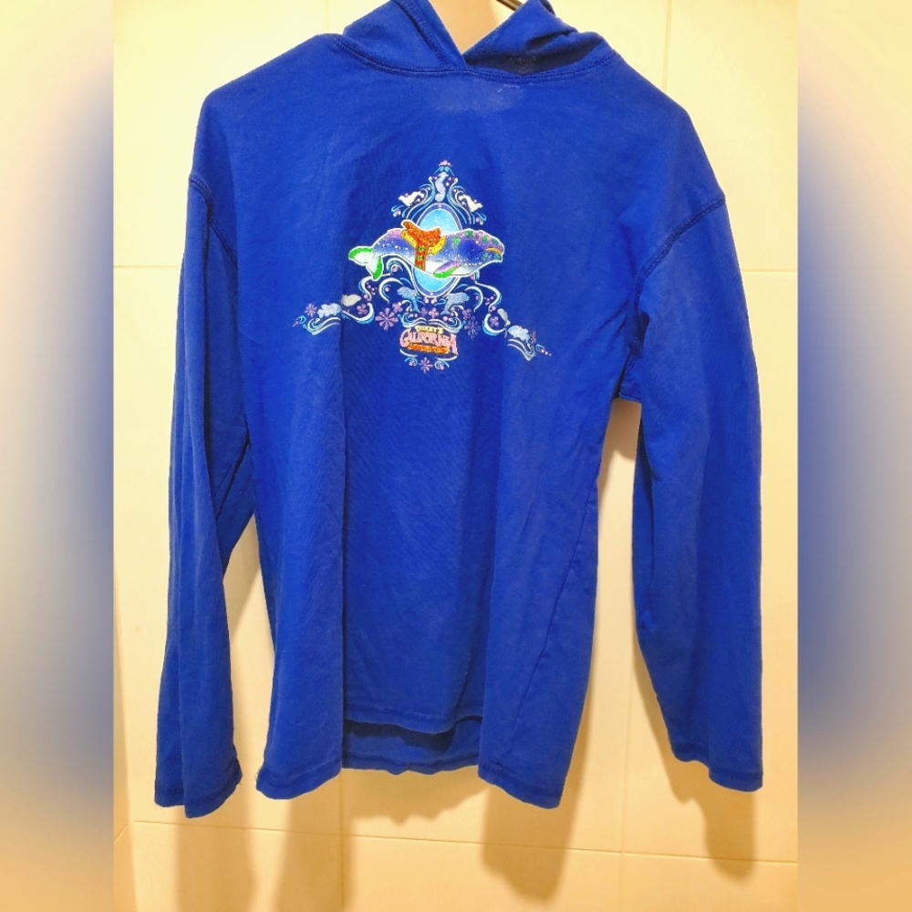 Disneyland Resort California Adventure Park Hoodie